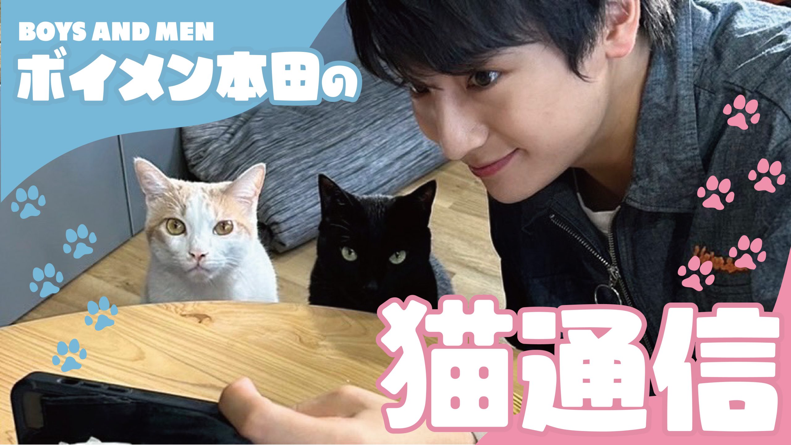 【連載コラム】ボイメン本田の猫通信 第1回