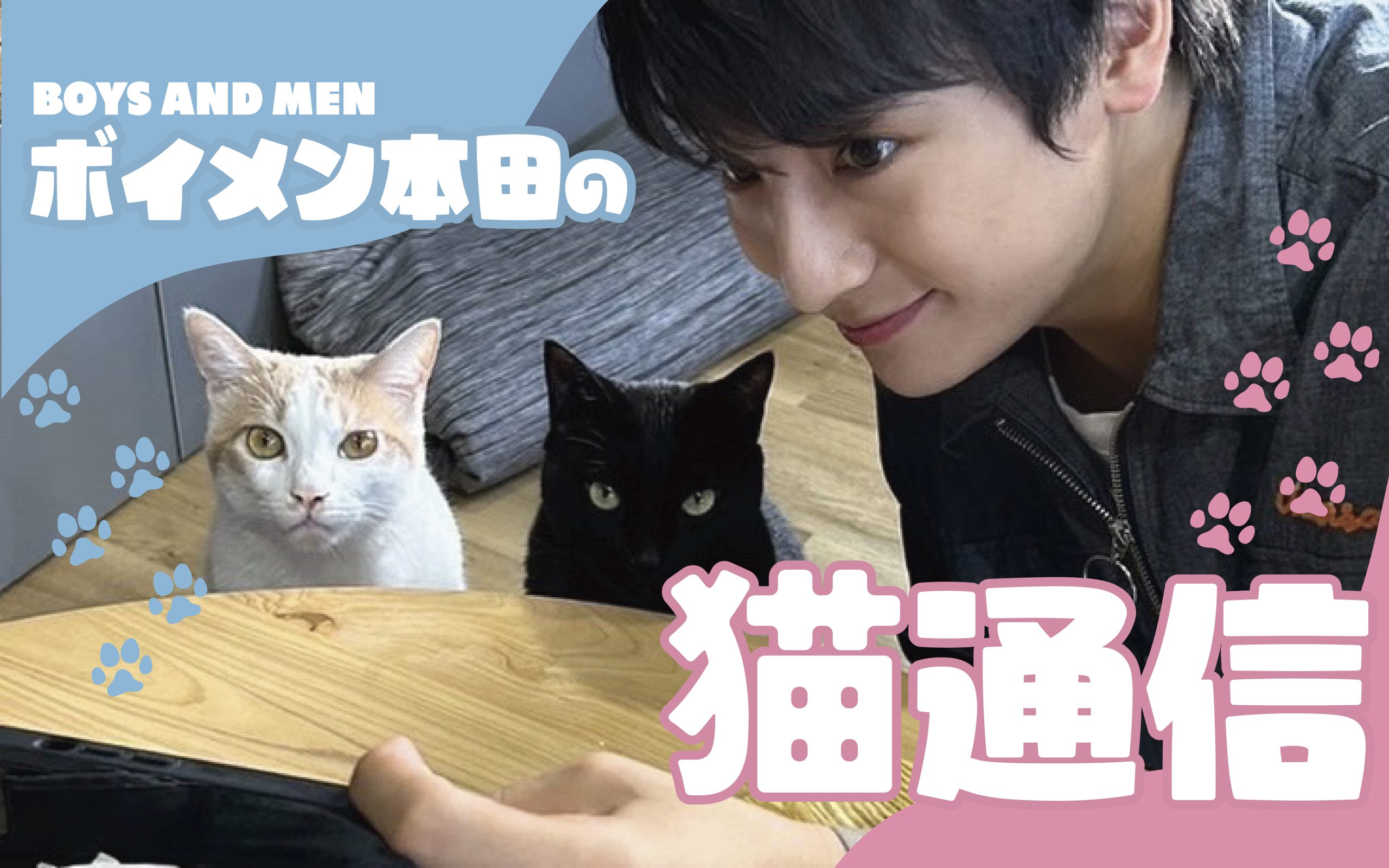 【連載コラム】ボイメン本田の猫通信　第1回