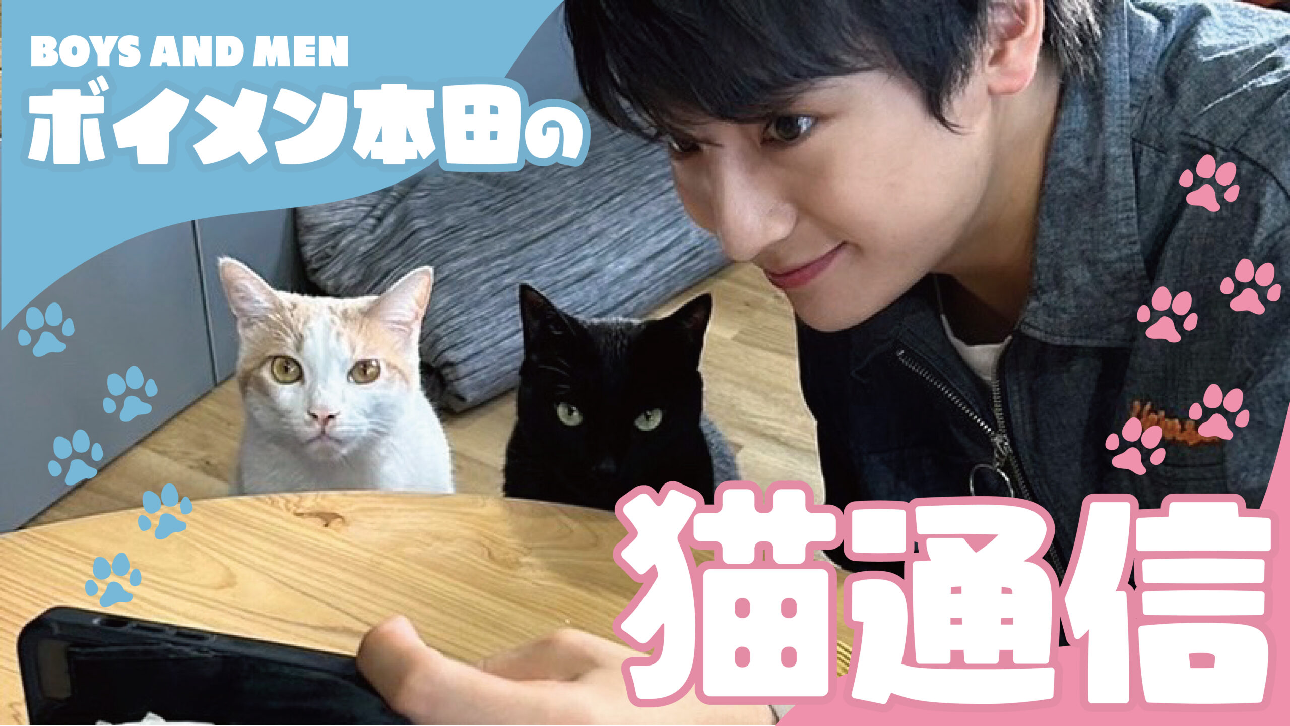 【連載コラム】ボイメン本田の猫通信　第5回