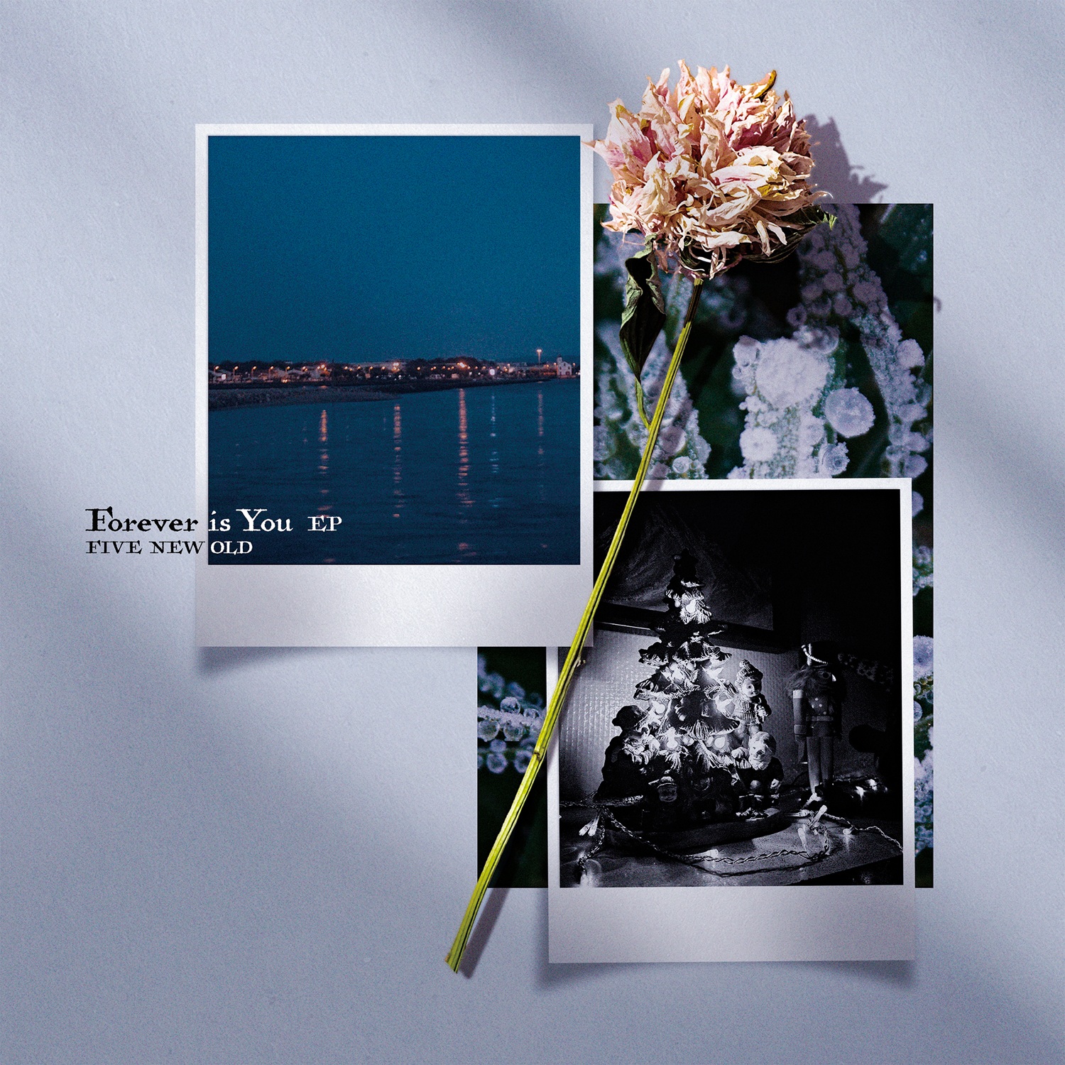 【コラム】FIVE NEW OLDがデジタルEP「Forever is You EP」をリリース。冬、音楽に託した、“永遠”だと感じられる確かな感情。